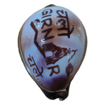 GIRNAR CORAL SHELL- HINDI