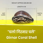 GIRNAR CORAL SHELL- HINDI