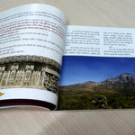 Girnar Samvedna (Hindi)