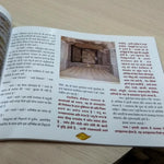 Girnar Samvedna (Hindi)