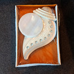Girnar Conch Wall Clock